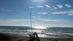 11-C149AA97-2270379-960-100